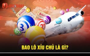 bao lô xỉu chủ là gì?